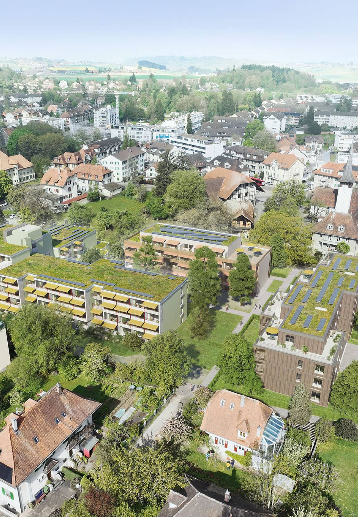 Mehrere grüne Topfpflanzen auf einem kleinen Holzgestell in der Ecke eines hellen Raumes. Im Hintergrund eine Glasfront, durch die der Garten und das Nachbarsgebäude sichtbar wird.